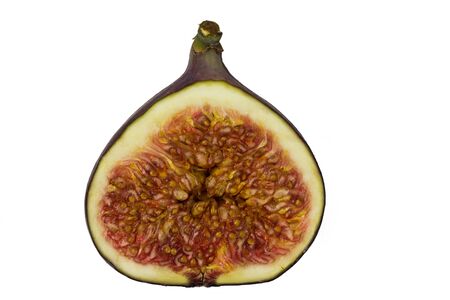 A  close up of a single juicy ripe fresh figの写真素材