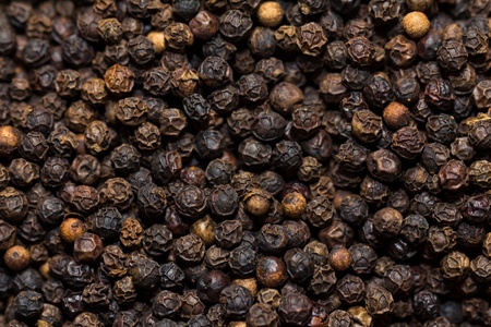 A back ground of black pepper cornsの写真素材