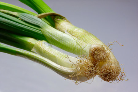 scallions