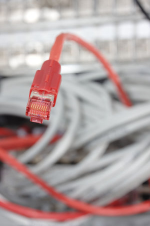 the snake of the information highway