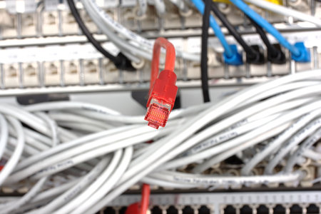 the snake of the information highway
