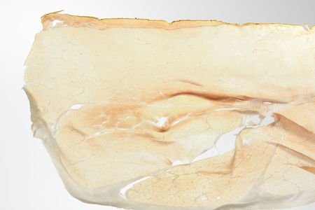 thin slice of ham, backlitの写真素材