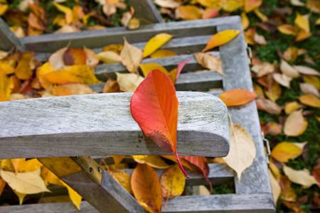 detail of a wooden deckchair covered with leaves in autumnの写真素材