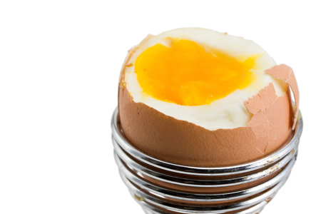 brown egg in an eggcup on white background