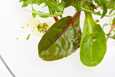 closeup of salad leaves on a glassy plateの写真素材