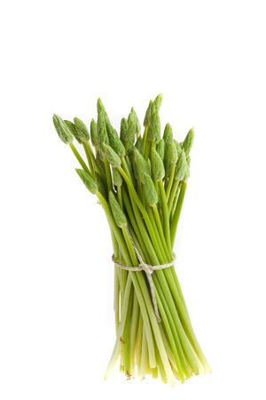 bunch of wild green asparagusの写真素材