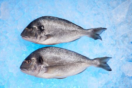 raw bream on crushed iceの写真素材