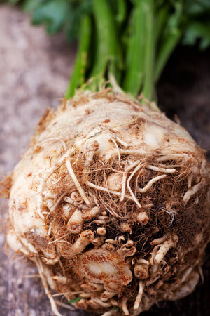 fresh celery on a wooden boardの写真素材