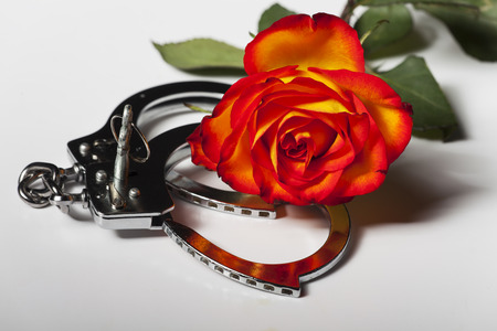handcuffs with a roseの写真素材