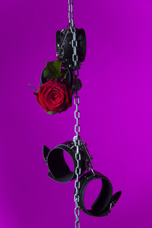 handcuffs and a rose on a chainの写真素材