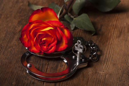 metal hand cuffs and a roseの写真素材