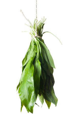 bunch of fresh wild garlic