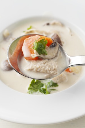thai tom kha gai soup の写真素材