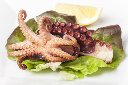 squid on a salad leaf の写真素材