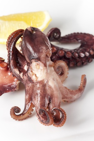 squid on a fork on white background の写真素材