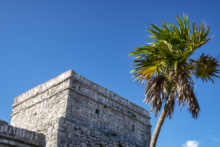 maya ruins in tulum mexicoの写真素材