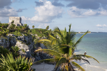 maya ruins in tulum mexicoの写真素材