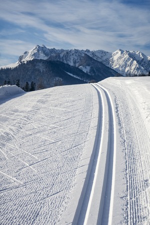 cross country ski track and the Kaiserの写真素材