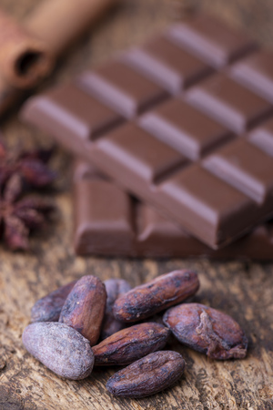 cacao beans and chocolateの写真素材