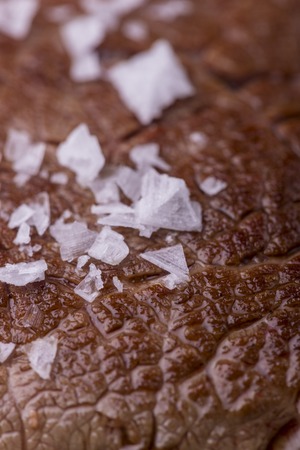 closeup of a grilled steak の写真素材