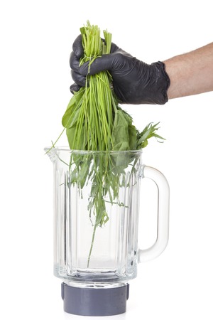 hand holding herbs in a mixerの写真素材