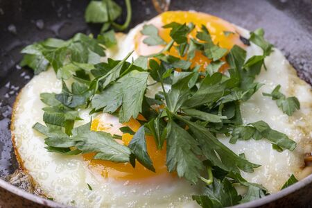 two eggsの写真素材
