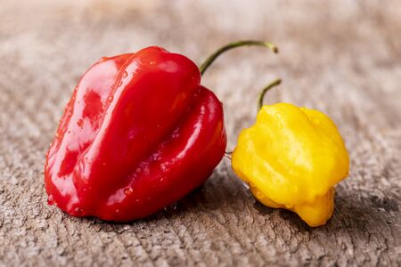red and yellow habanero chili on woodの写真素材