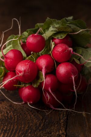 red radishes on dark woodの写真素材