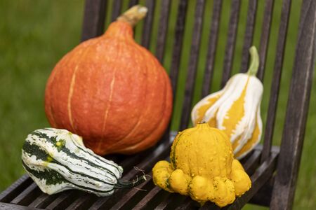 collection of pumpkins on a chairの写真素材