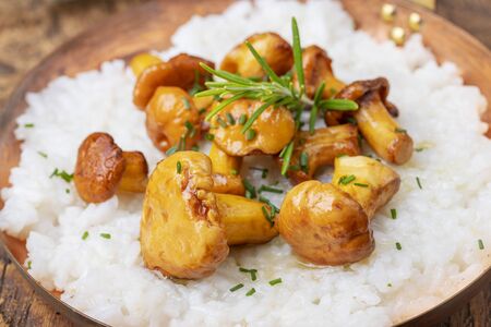 italian risotto with chanterelles on wood の写真素材