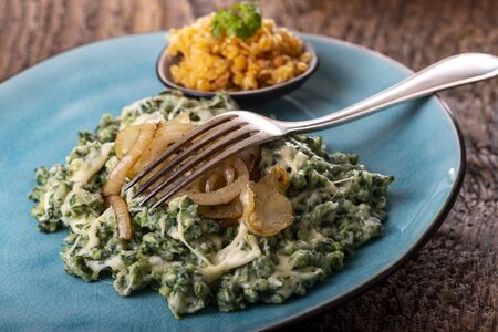 bavarian pasta with onions on a plateの写真素材