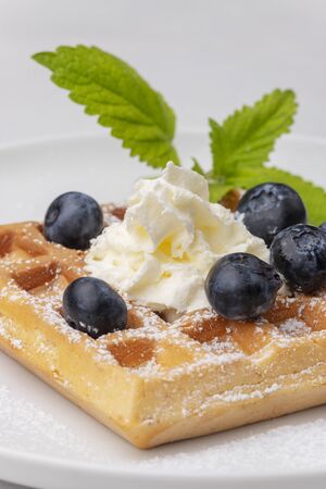 belgian waffle with blueberriesの写真素材