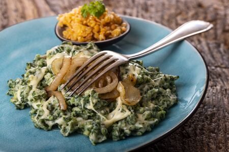 bavarian pasta with onions on a plateの写真素材