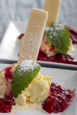vanilla ice cream with hot raspberry sauceの写真素材