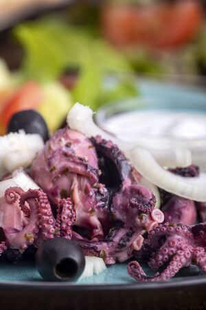 octopus and tsatsiki on a blue plateの写真素材