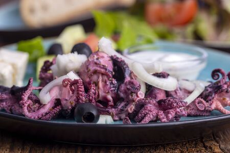 octopus and tsatsiki on a blue plateの写真素材