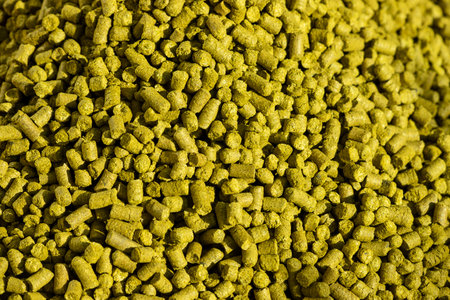 Overview of fresh hop pelletsの写真素材