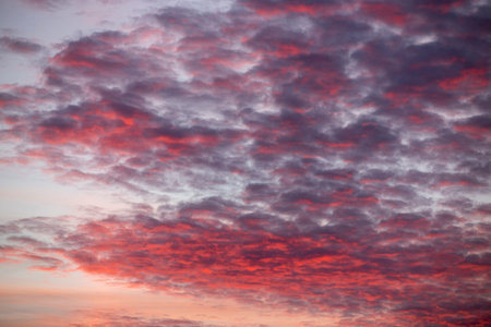 pink clouds during sunset in summer