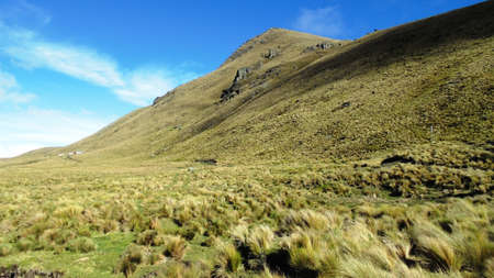 Ecuador, grasslands near the Laguna Culebrillas の写真素材