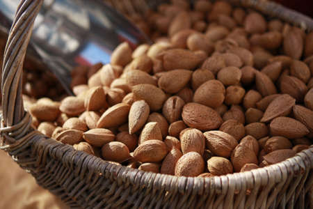 Almondの写真素材