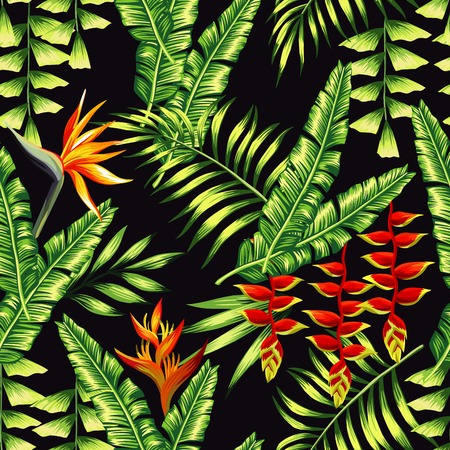 Print exotic tropic plants and palm trees, banana leaf with lobster claws flower, strelitzia on a black background. Seamless wallpaper pattern summer jungle art in trendy style of hand drawingのイラスト素材