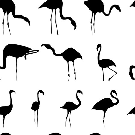 Silhouette of black flamingos seamless pattern white backgroundのイラスト素材