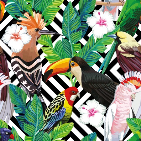 Seamless a composition of tropical bird toucan, parrot, hoopoe and palm leaves with white hibiscus flowers on black white geometric backgroundのイラスト素材