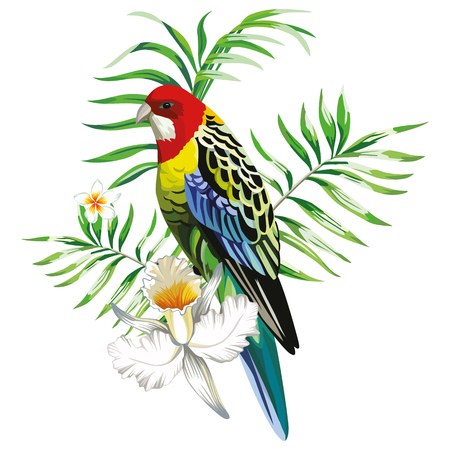 Multicolor single parrot with tropical plants and flowers.のイラスト素材