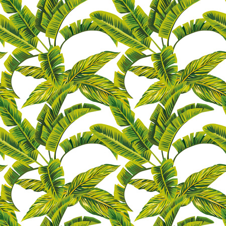 Exotic composition banana leaves seamless pattern on the white background. Fabric vector beach wallpaperのイラスト素材