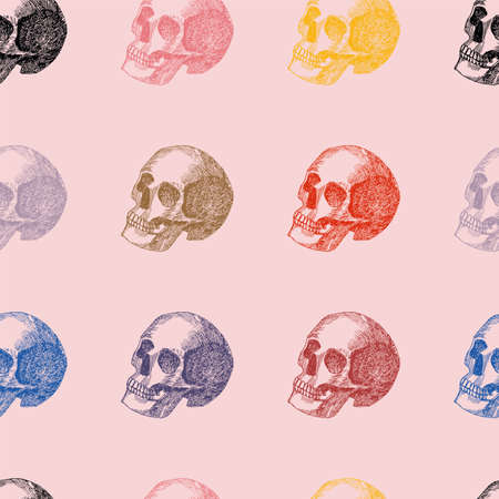 Multicolor hand drawn sketch in pencil skull seamless pattern pink backgroundのイラスト素材