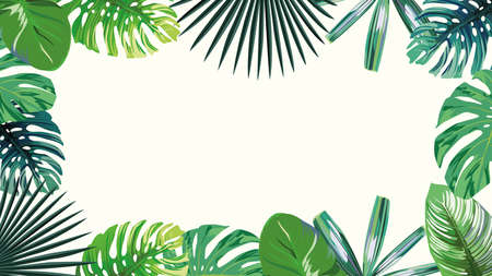A high resolution 4k green leaves tropical, botanical frame, exotic wallpaper on white background. Sale summer, autumn border.のイラスト素材