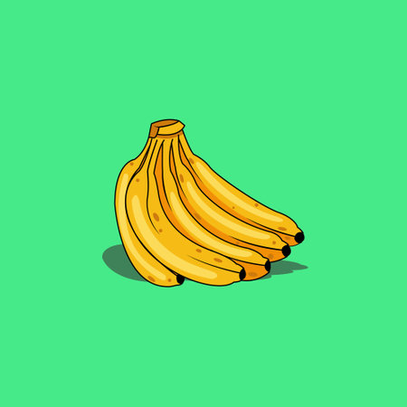 illustration vector graphic of banana, fit for food menu illustrations, paintings in the kitchen, wallpapers etcのイラスト素材