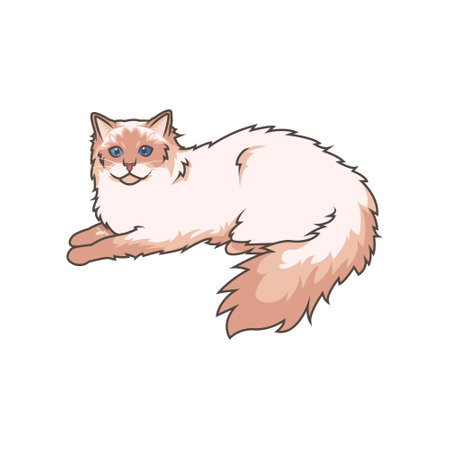 Discover adorable Ragdoll kittens in various charming poses. These high-quality illustrations exude cuteness, perfect for pet-related designs.のイラスト素材