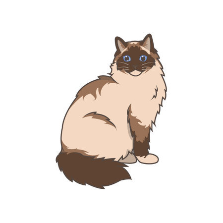 Discover adorable Ragdoll kittens in various charming poses. These high-quality illustrations exude cuteness, perfect for pet-related designsのイラスト素材